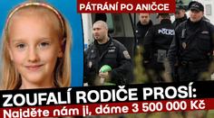 TAJEMNÝ SVĚDEK: Aničku odvezlo auto s černými skly
