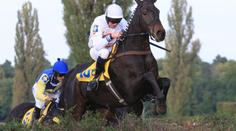 Orphee des Blins vypálila Váňovi rybník. Faltejsek vyhrál Velkou poprvé