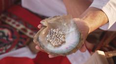 Vylovte perlu a vydělejte desetitisíce. Farma nabízí nevšední zážitek