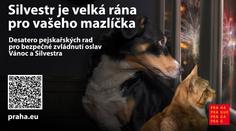 Na Silvestra platí omezené používání pyrotechniky