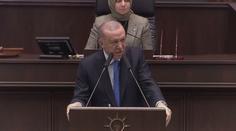 V Turecku hrozí velké hubení psů. Za kontroverzním zákonem stojí Erdogan