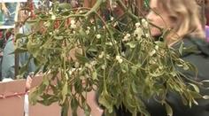 Advent se blíží: města připravují výzdobu