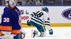 Skvělý pocit, ještě zlepšit obranu, říká Hertl po hattricku a velkém obratu