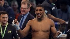 Boxerská show už dnes: Joshua znovu vyprodal stadion v Británii!