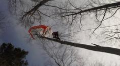 Paraglidista se zachytil ve větvích, záchrana trvala čtyři hodiny