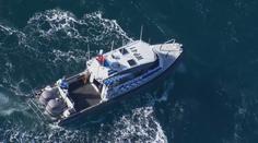 Smrtící útok po 60 letech. Žralok na pláži u Sydney sežral plavce