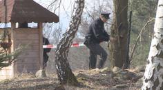 Tragická smrt: Muž kácel stromy, poslední mu zabil manželku!