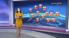 Meteorologové varují před mrazem, nebezpečí hrozí hlavně zemědělcům
