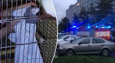 Muž házel hořící peřiny z 8. patra, chránil papoušky před kouřem