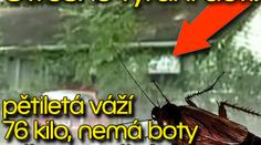 Otřesné týrání dětí: pětiletá váží 76 kilo, nemá boty a žije mezi šváby