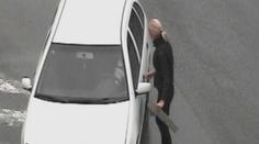 Pes otevřel blondýně zamčené auto. VIDEO
