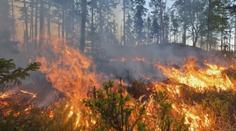 Požár v Českém Švýcarsku hasiči ještě nelokalizovali. Zasahuje 53 jednotek