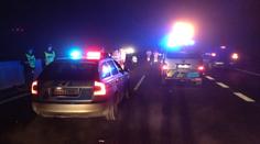 Drama na R6: Autobus rozmetal stádo divočáků, 7 jich zabil
