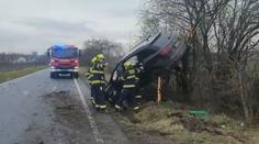 Řidička neovládla mohutné audi. Hasiči ho museli sundávat ze stromu