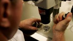 Američáné stvořili třicítku geneticky upravených dětí