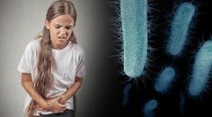 Na Rychnovsku řádí salmonela! Děti se nakazily ve školní jídelně