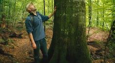 Prehistorické lesy na Ukrajině jsou inspirací v boji se změnou klimatu