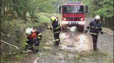 Polámané stromy, zatopené sklepy. Hasiči kvůli větru hlásí stovky zásahů