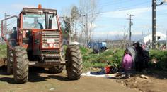 Uprchlíci zabrali farmáři jeho pole! Sedl do traktoru a vyřešil to