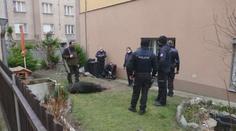 Na lidi v pražském Podolí zaútočil divočák! Policisté ho zastřelili. VIDEO