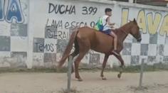 VIDEO: Žádné auto nebo autobus. Chlapec vyrazil do školy na koni