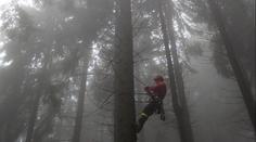 Paraglidista uvízl poblíž Ještědu. Sundat ho museli hasiči
