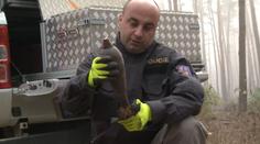 Les je i po čištění stále plný munice. Podle sanační firmy je to sabotáž
