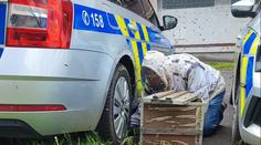 Překvapení pro policisty v Mostě: Během zásahu jim auto obsadil roj včel