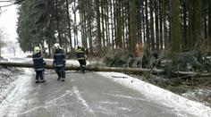 Mrazy, vichr a výpadky proudu. Česko se vzpamatovává z kalamity