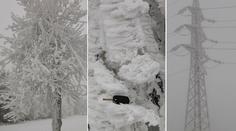 Fotky z Třebíčska vyrážejí dech: Námraza má i 15 cm, láme stromy!