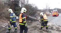 Českem se prohnala vichřice! Lámala stromy, šířila požáry