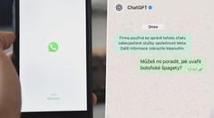 NÁVOD: Máte v telefonu WhatsApp? Možná netušíte, že nabízí zdarma tuhle funkci