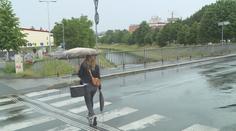 Zahrádkáři a lesníci volali po dešti. Přání se splnilo, Českem se prohnaly srážky