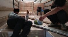 U Mikulova chytili čtyři migranty, schovávali se v kamionu!