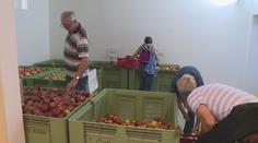 Úroda ovoce v Česku byla loni nejnižší za 6 let. Mohlo za to snížení ploch sadů i mráz