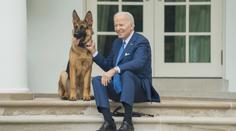 Pozor, zlý pes. Bidenovi se loučí s milovaným mazlíčkem