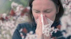 Trpíte alergií? Pylová sezóna vám v budoucnu může dát ještě víc zabrat