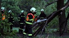 Bouřky polámaly stromy, zaplavily sklepy a zatarasily cesty vlakům