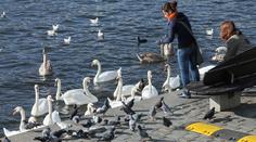 Víkend bude spíše aprílový, říká PŘEDPOVĚĎ POČASÍ