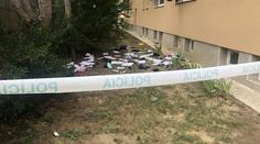 Míša (22) měla ubodat partnera, pak mu vyházela věci z okna