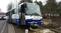 Řidič dostal infarkt, autobus trefil strom! Cestující jsou zranění