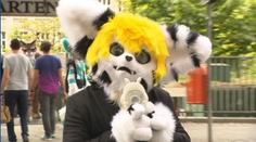 VIDEO: Chlupatá party v Německu! Sešli se tam příznivci plyšových převleků