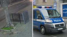 VIDEO: Divoká jízda skončila děsivou nehodou. Pár se psem zachránil strom