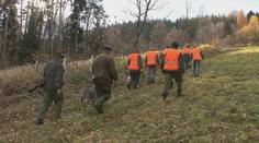 Vláda neplní svůj dluh vůči lesníkům. Stát jim má vyplatit miliardy