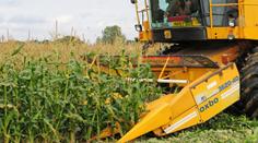 Chlapečka (4) přejela na silnici řezačka na kukuřici a zabila ho