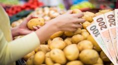 Konec levných brambor v Česku. Kvůli špatné úrodě poletí ceny nahoru