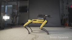 Nejlepší přítel člověka z čipů a převodů. Robopes umí i tančit