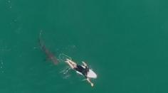 Surfař v Austrálii unikl smrti jen o vlásek. Zachránil ho dron! VIDEO