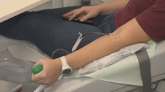 V Plzni otevřeli transplantační centrum. Je určeno pro pacienty s onemocněním krve