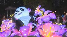 Lucerny, jak je neznáte. Obrovské barevné svítilny rozzářily park v Hongkongu